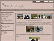 Tablet Screenshot of ccsa-sauvetage.com
